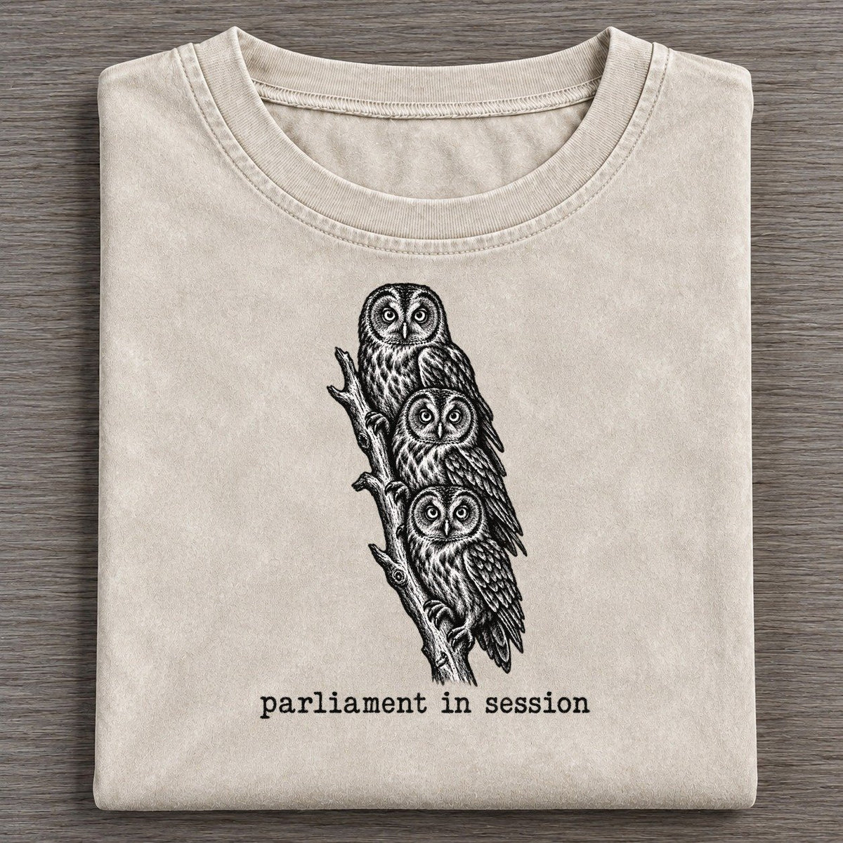 Parliament In Session Collective Nouns Vintage T-shirt – Off White