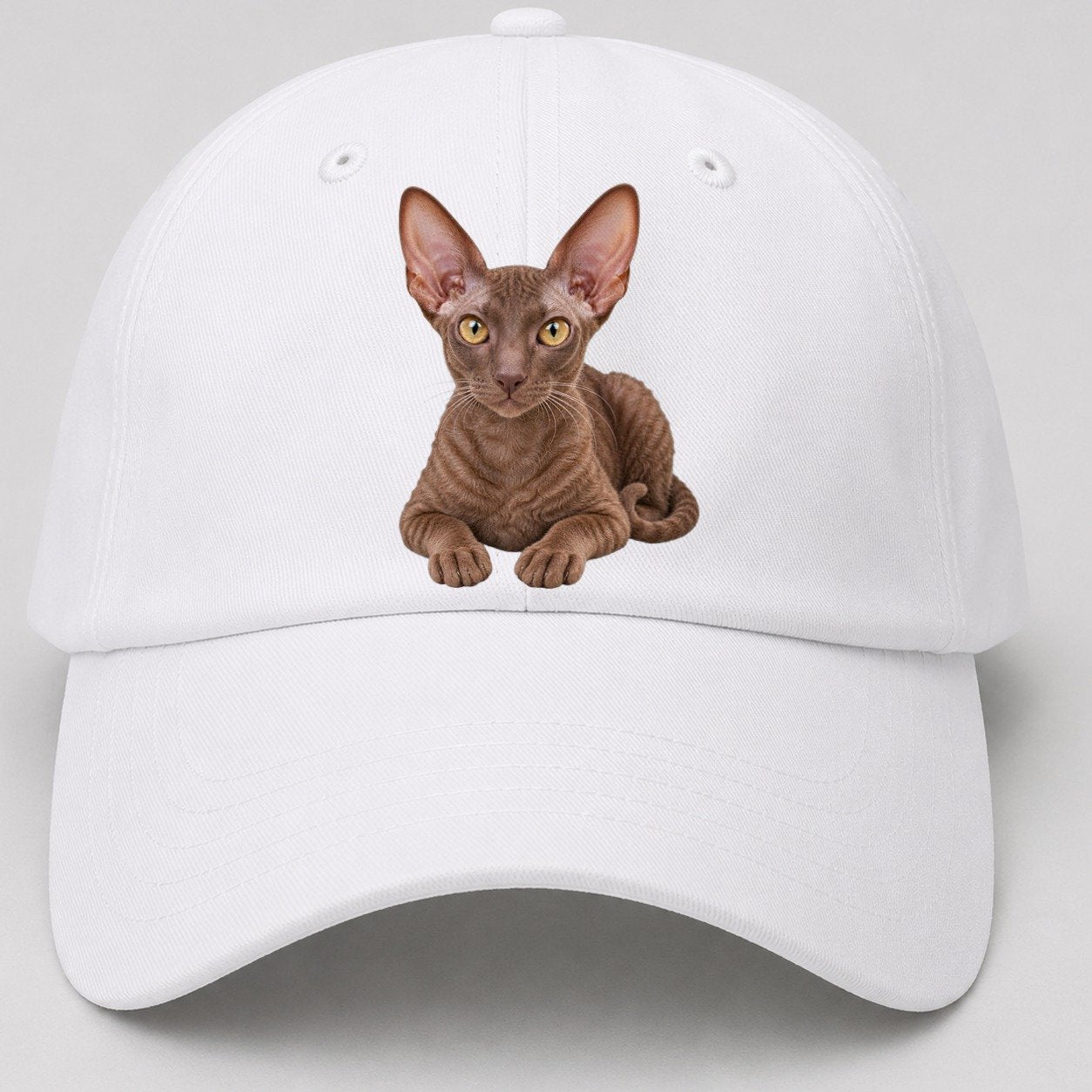 Cornish Rex Reclining Paws Forward Realistic Cat Portrait Baseball Cap – White