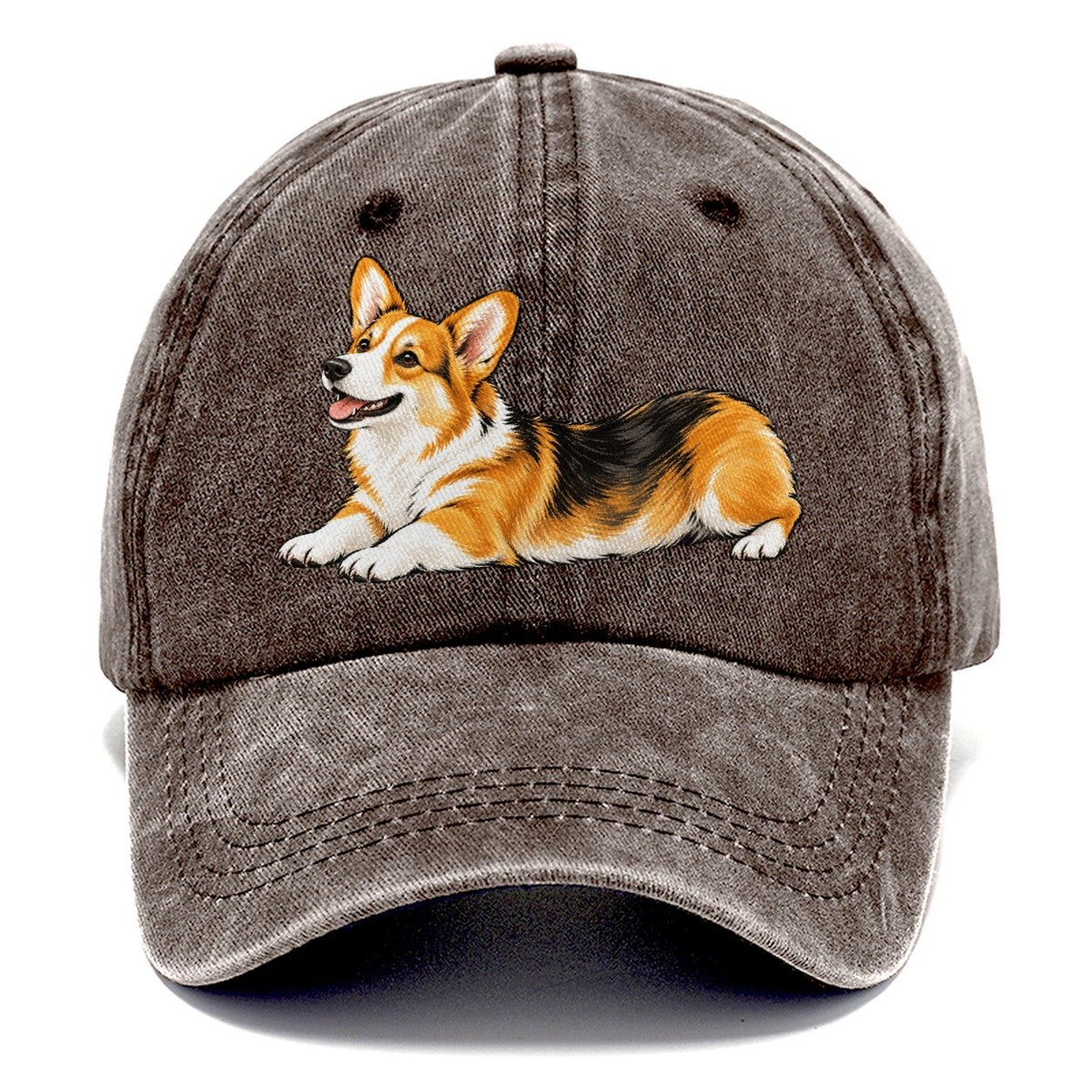 Lying Corgi Classic Cap – Brown