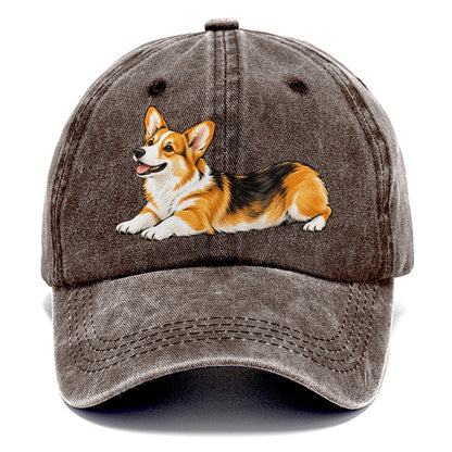 Lying Corgi Classic Cap – Brown