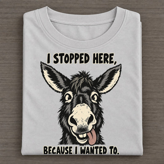I Stopped Here Feral Logic Classic T-shirt – Grey