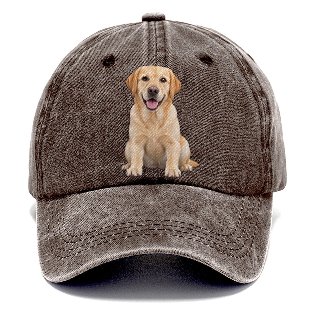 Labrador Retriever Sitting Top Breeds Classic Cap – Brown