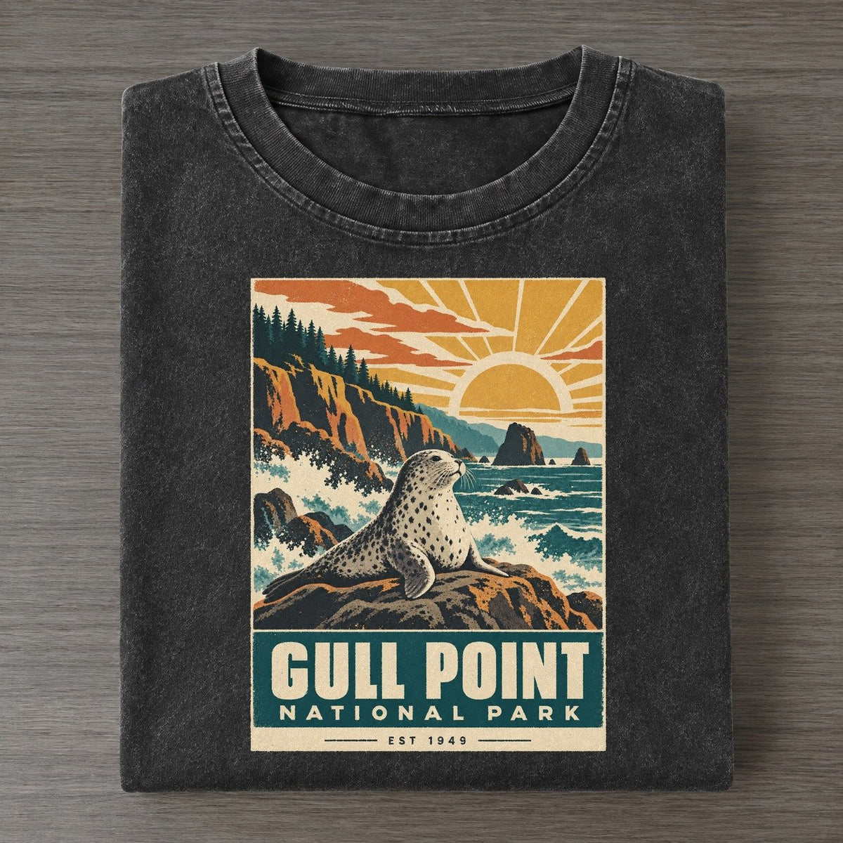 Gull Point Nowhere National Parks Vintage T-shirt – Black