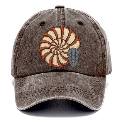 Ammonite Specimen Plate Rocks And Minerals Classic Cap – Brown