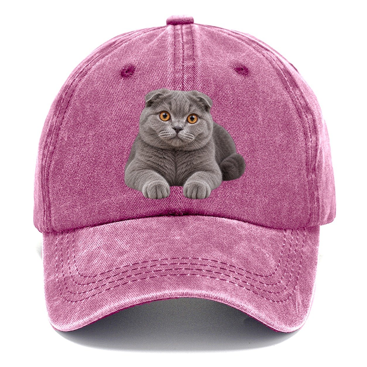 Scottish Fold Reclining Paws Forward Realistic Cat Portrait Classic Cap – Dusty Rose