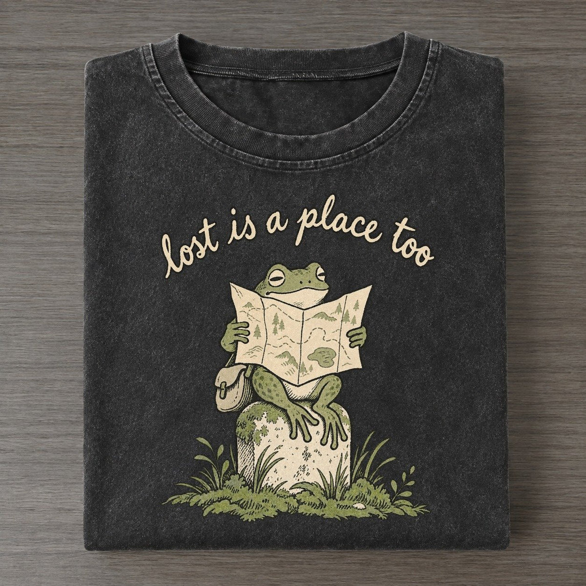 Map Reader Pond Folk Vintage T-shirt – Black