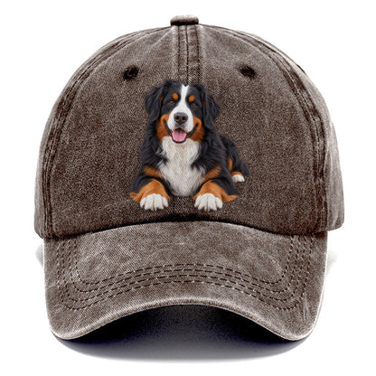 Bernese Mountain Dog Lying Down Top Breeds Classic Cap – Brown