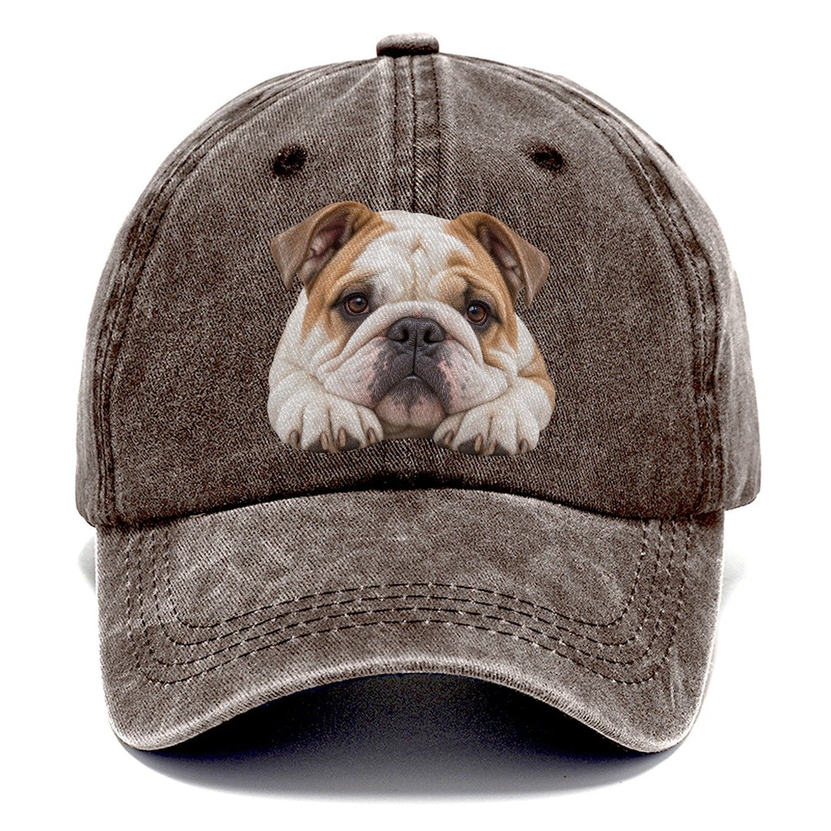 Bulldog Paw Pillow Character Club Classic Cap – Brown