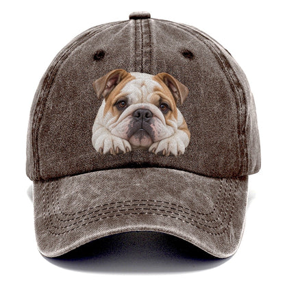 Bulldog Paw Pillow Character Club Classic Cap – Brown