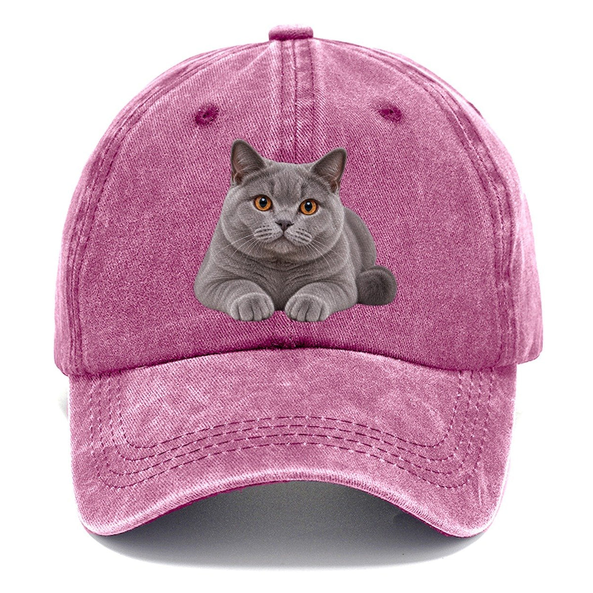 British Shorthair Reclining Paws Forward Realistic Cat Portrait Classic Cap – Dusty Rose