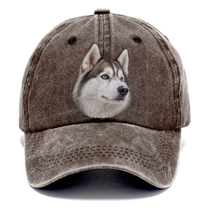 Husky Frosted Whiskers Character Club Classic Cap – Brown