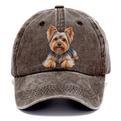 Yorkshire Terrier Lying Down Top Breeds Classic Cap – Brown