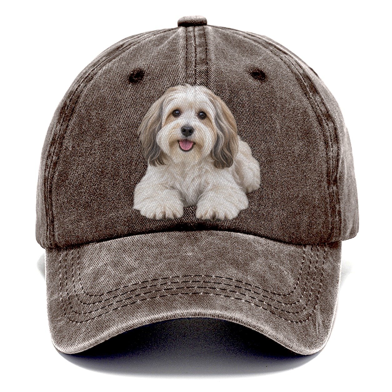 Havanese Lying Down Top Breeds Classic Cap – Brown