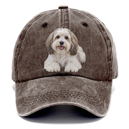Havanese Lying Down Top Breeds Classic Cap – Brown