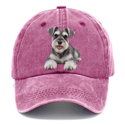 Miniature Schnauzer Lying Down Top Breeds Classic Cap – Dusty Rose