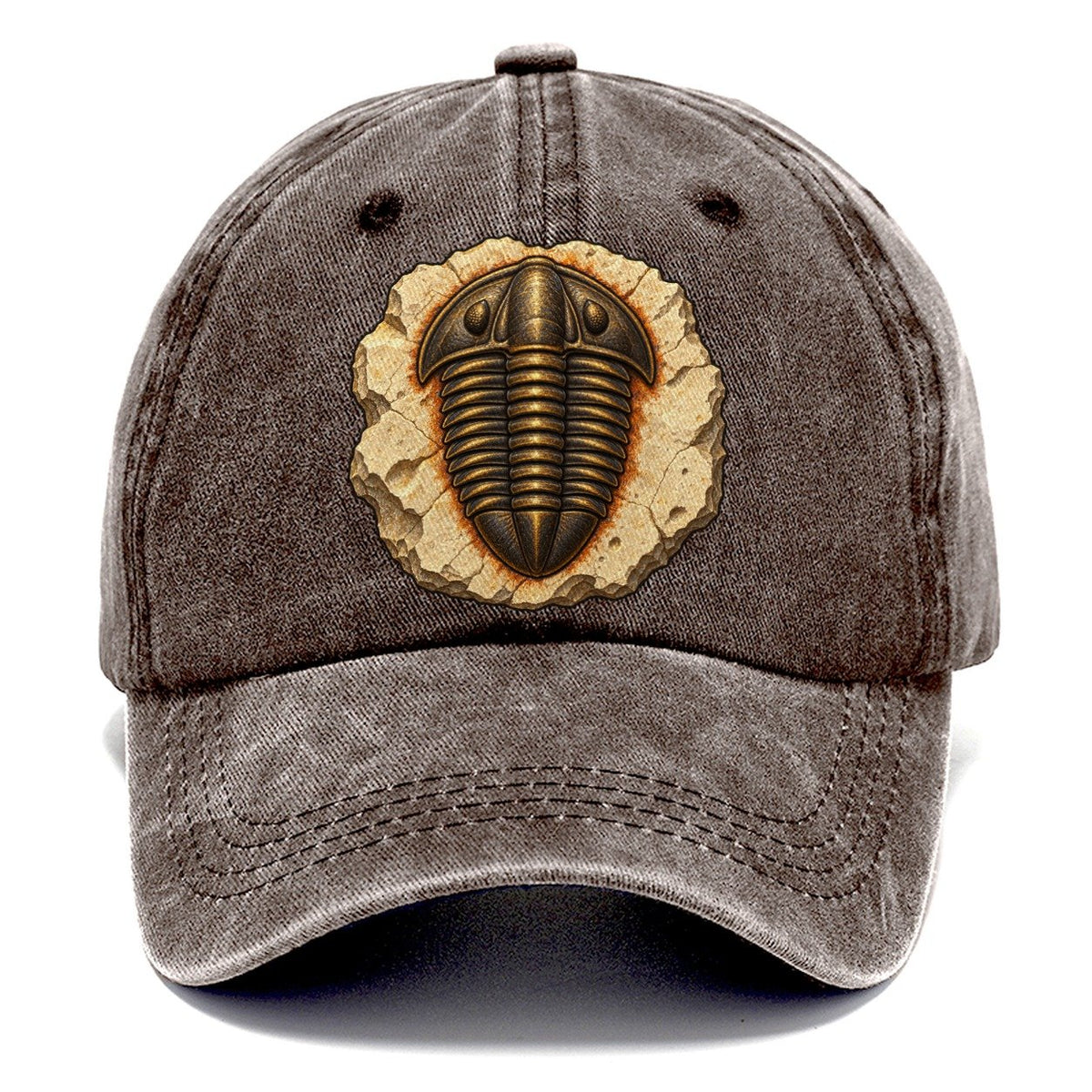 Trilobite In Limestone Rocks And Minerals Classic Cap – Brown