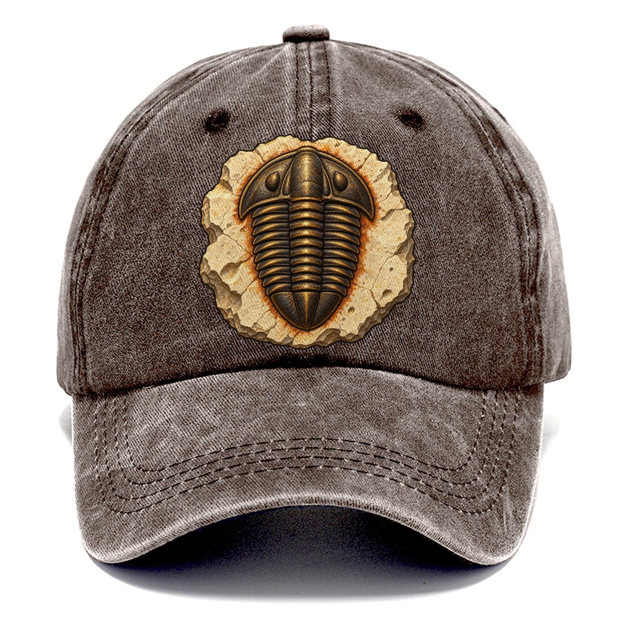 Trilobite In Limestone Rocks And Minerals Classic Cap – Brown