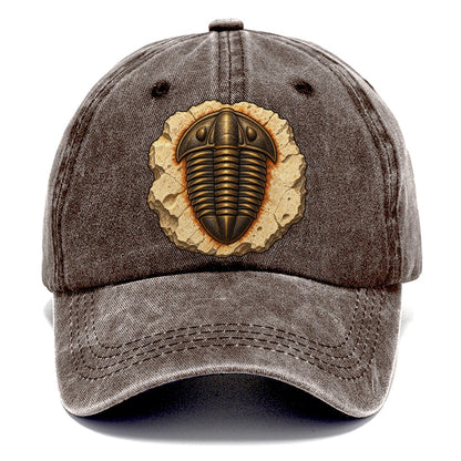 Trilobite In Limestone Rocks And Minerals Classic Cap – Brown