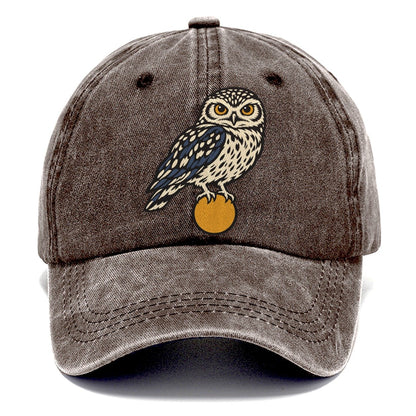 Burrowing Owl Sunrise Sundown Familiars Classic Cap – Brown