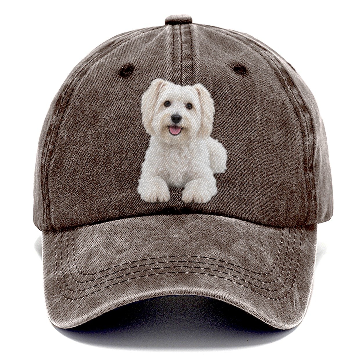 Havanese Sitting Top Breeds Classic Cap – Brown