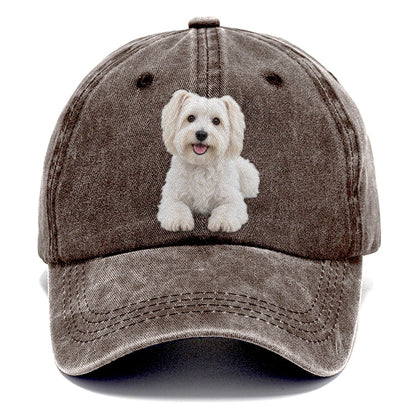Havanese Sitting Top Breeds Classic Cap – Brown