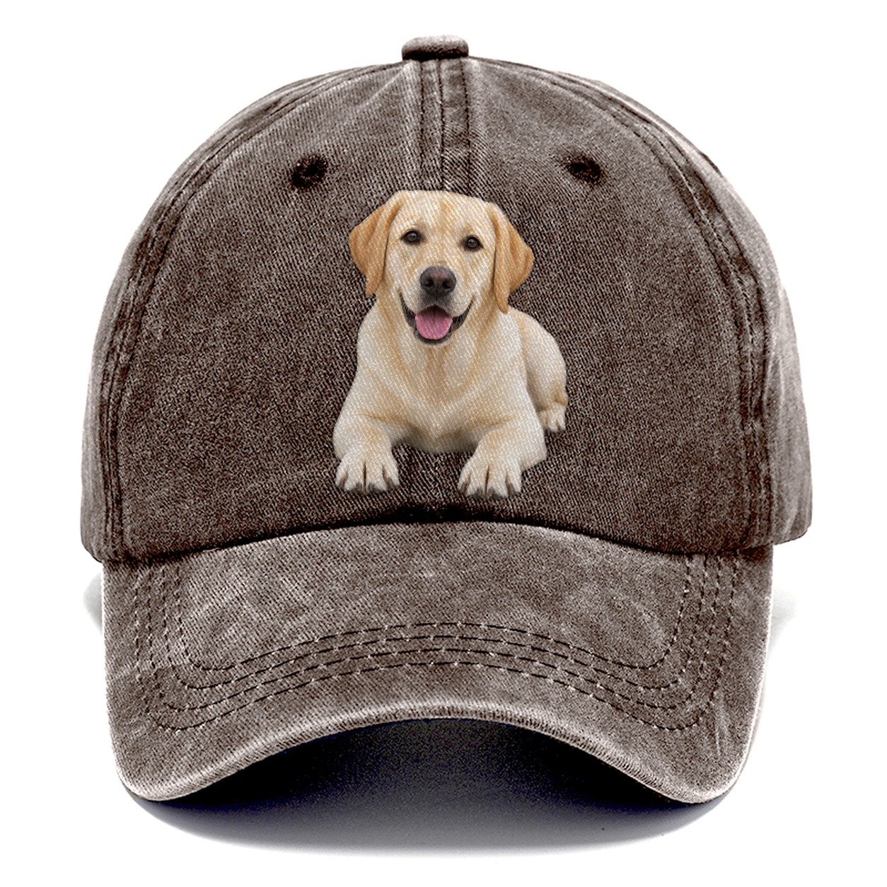 Labrador Retriever Lying Down Top Breeds Classic Cap – Brown