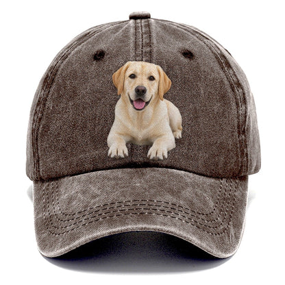 Labrador Retriever Lying Down Top Breeds Classic Cap – Brown