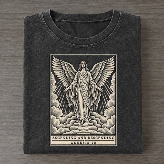 Ascending And Descending Sixfold Wings Vintage T-shirt – Black