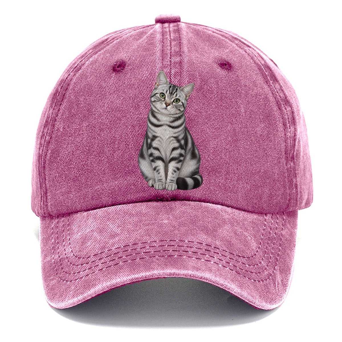 American Shorthair Seated Portrait Realistic Cat Portrait Classic Cap – Dusty Rose