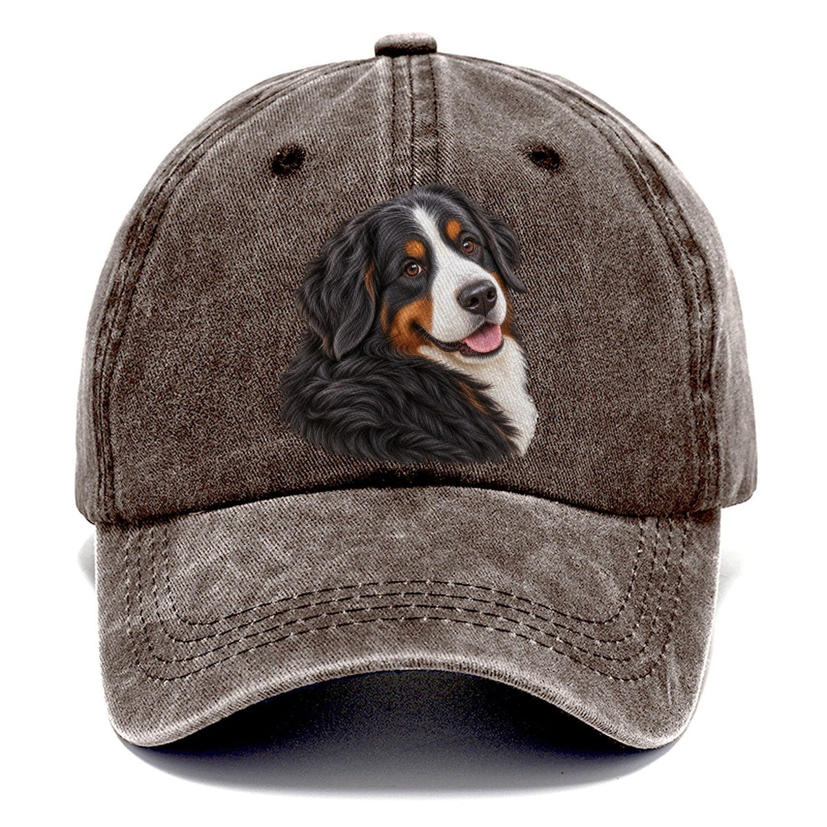 Bernese Over Shoulder Welcome Pastimes Companions Classic Cap – Brown