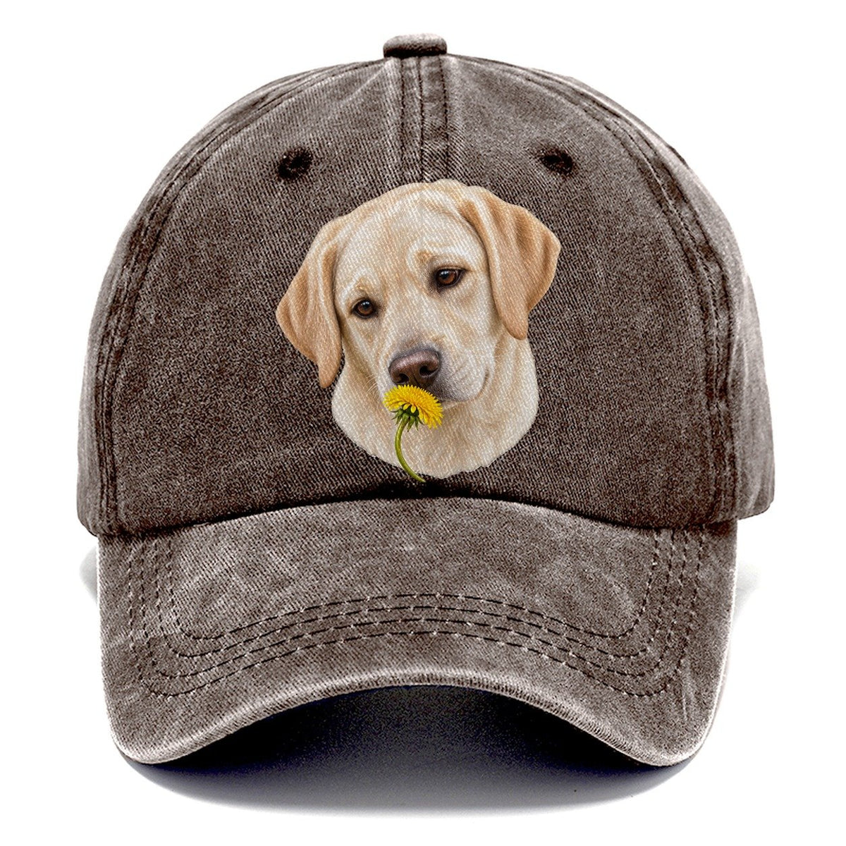 Cream Labrador Dandelion Pause Pastimes Companions Classic Cap – Brown