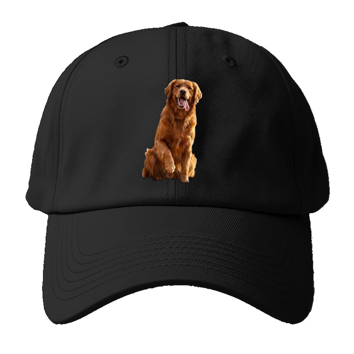 Autumn Retriever Baseball Cap – Black