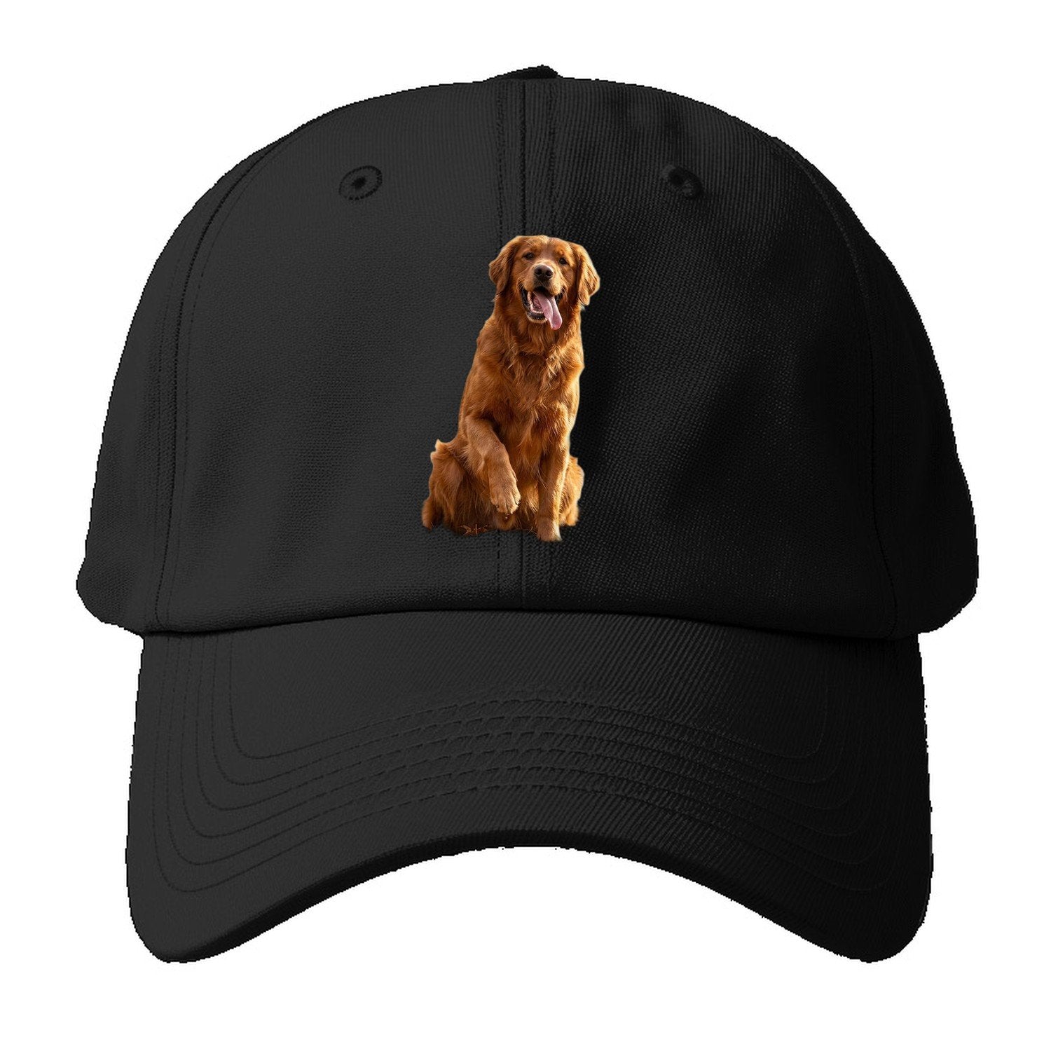 Autumn Retriever Baseball Cap – Black