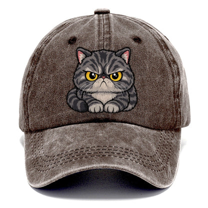 Exotic Shorthair Grumpy Sit Peeking Cats Classic Cap – Brown