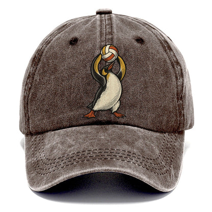 Penguin Volleyball Setter Sundown Familiars Classic Cap – Brown