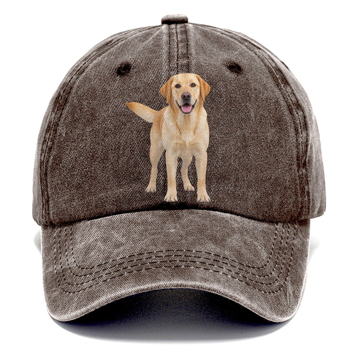 Labrador Retriever Standing Top Breeds Classic Cap – Brown