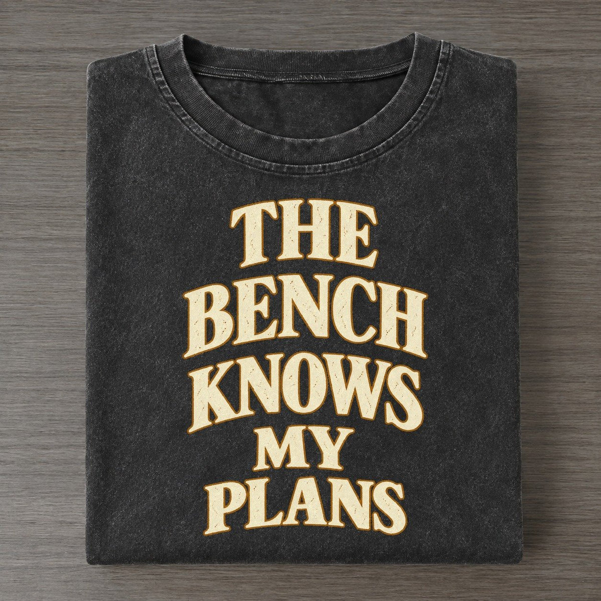 The Bench Knows My Plans Quiet Statements Vintage T-shirt – Black