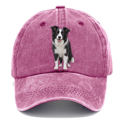 Border Collie Standing Top Breeds Classic Cap – Dusty Rose