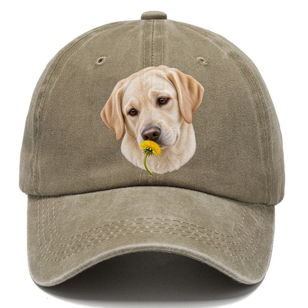 Cream Labrador Dandelion Pause Pastimes Companions Classic Cap – Warm Sand