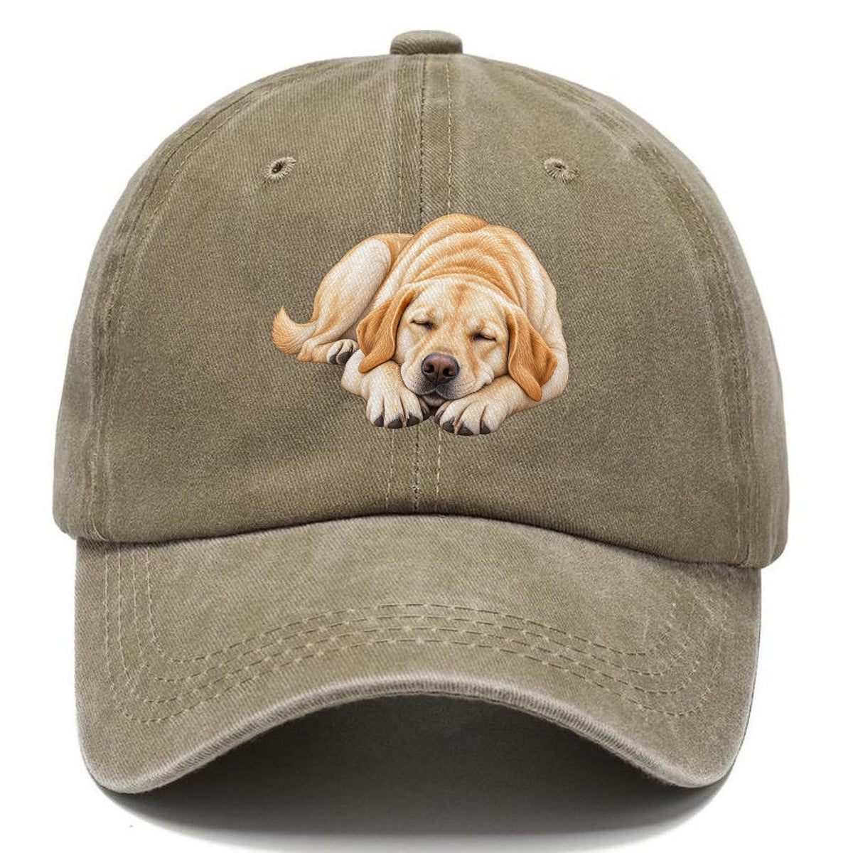 Abstract Labrador Play Bow Classic Cap – Warm Sand