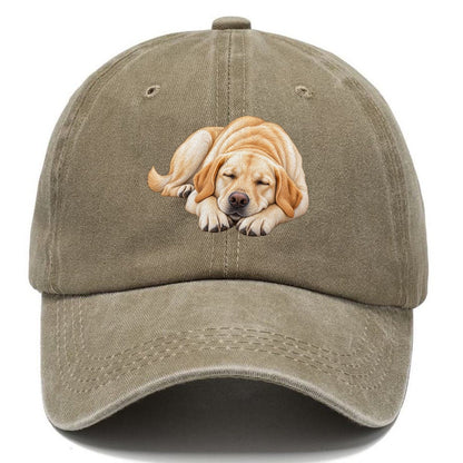 Abstract Labrador Play Bow Classic Cap – Warm Sand