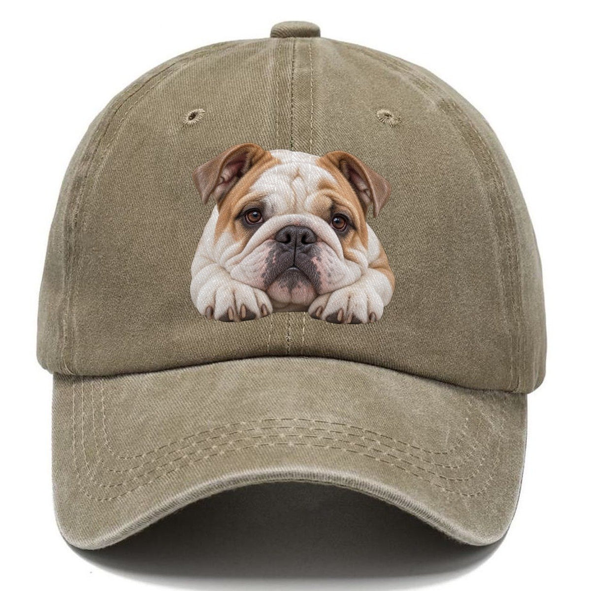 Bulldog Paw Pillow Character Club Classic Cap – Warm Sand
