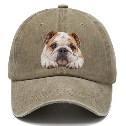 Bulldog Paw Pillow Character Club Classic Cap – Warm Sand