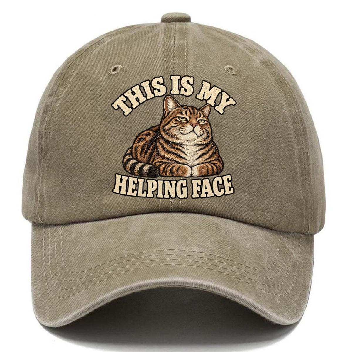 Tabby Helping Face Character Club Classic Cap – Warm Sand