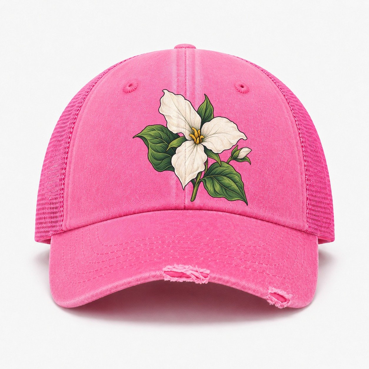 Rose — front view