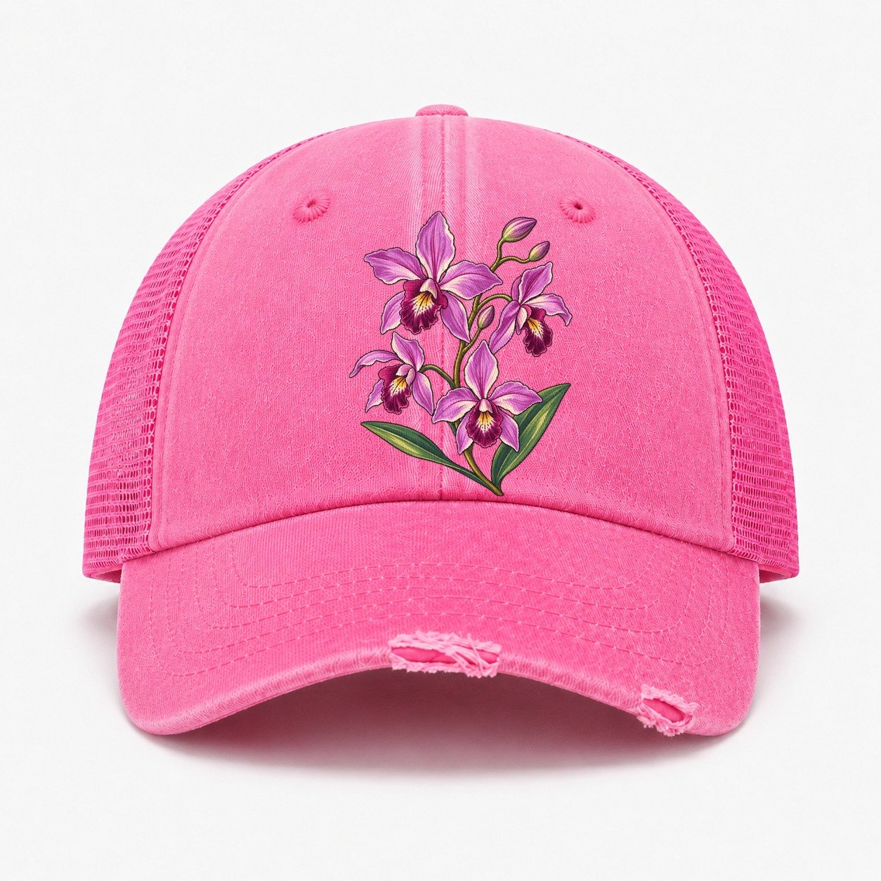 Rose — front view