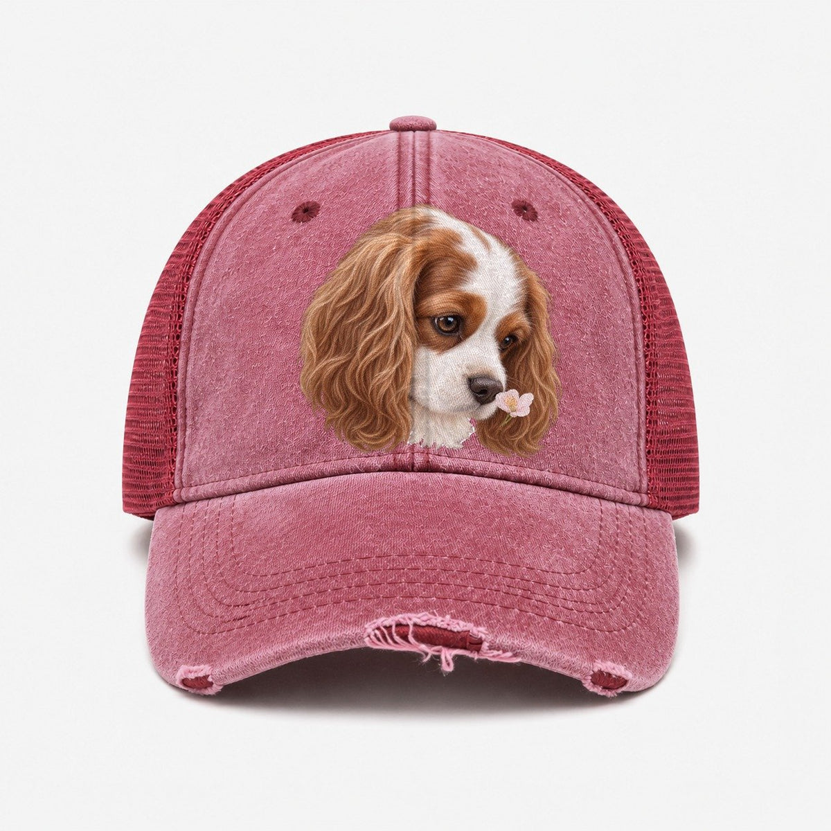 Wine Red — front view