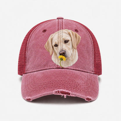 Wine Red — front view