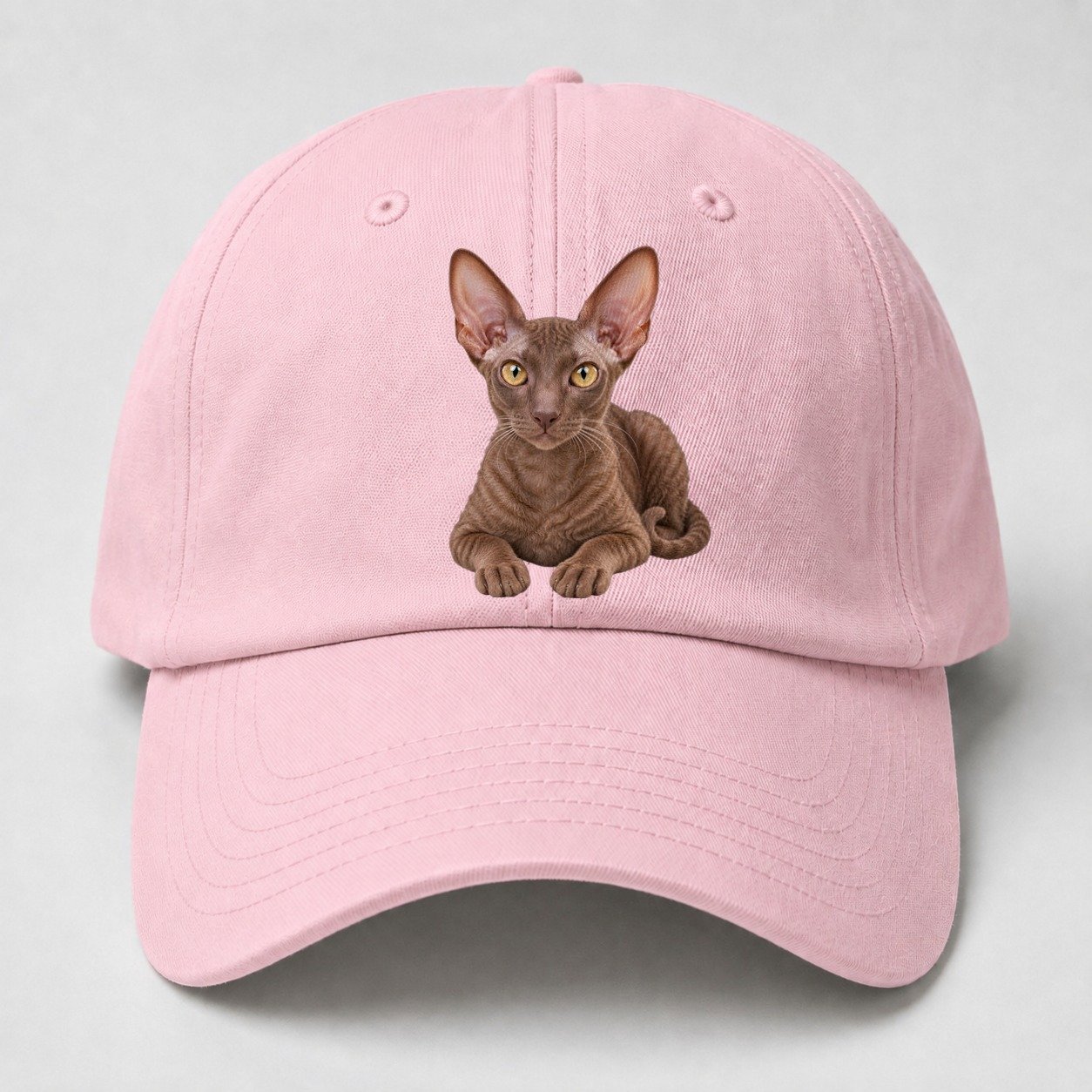 Cornish Rex Reclining Paws Forward Realistic Cat Portrait Baseball Cap – Pink