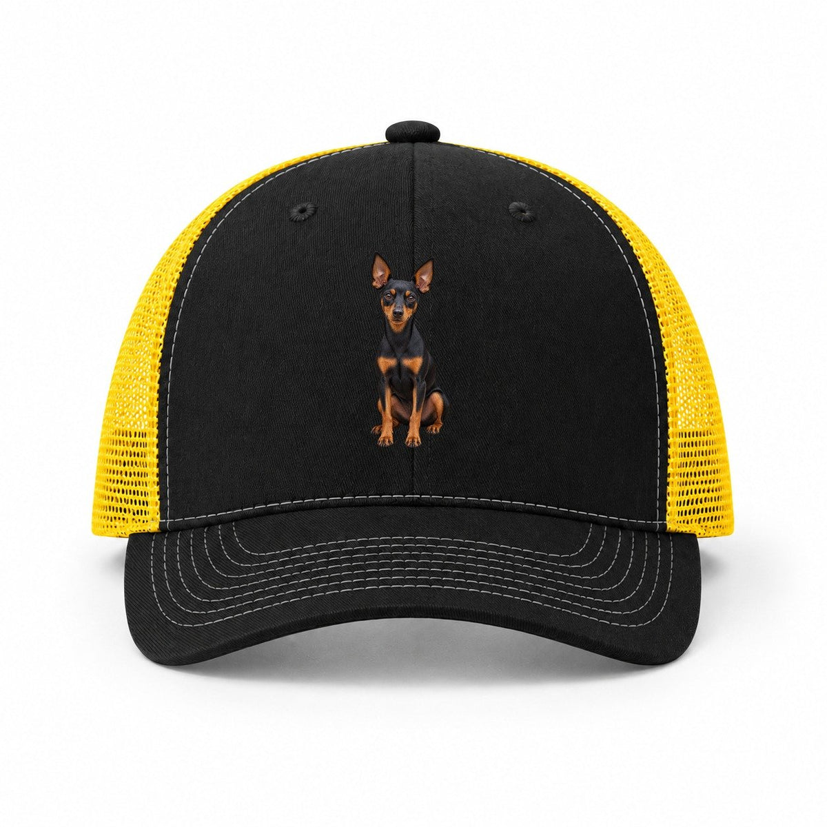 Black-Yellow — front view
